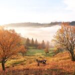 Zemědělci vám říkají: Nikdy neséjte v tento měsíc, pokud chcete vysoký výnos