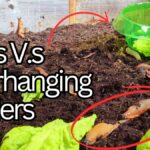 Zkroucená papírová páska kolem květináče: zázrak proti slimákům, který úplně ignorují