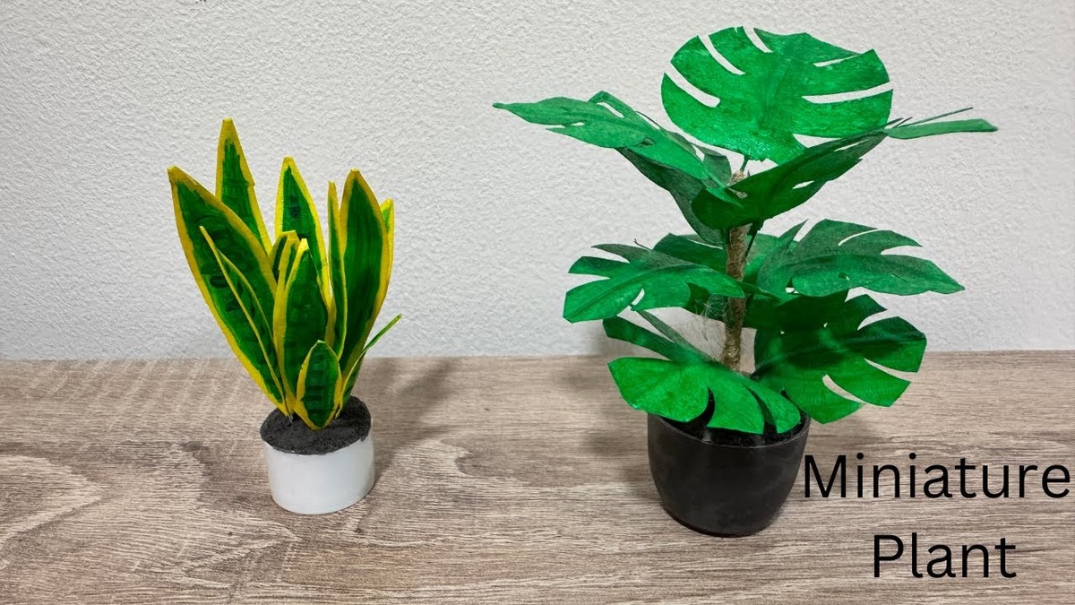 Zkroucená papírová páska kolem květináče: zázrak proti slimákům, který úplně ignorují - image 1