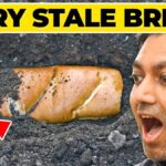 Zvětralá chlebová kůra v květináči? Místo mulče vám ušetří důležitou vlhkost