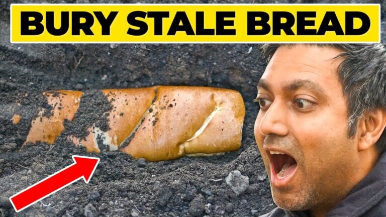 Zvětralá chlebová kůra v květináči? Místo mulče vám ušetří důležitou vlhkost