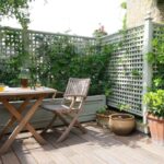 Dřevěné větve jako přírodní pestovatelské podpěry: jak si vytvořit záhradní oporu zdarma