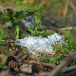 Hliník kolem sazenic zvyšuje úrodu o 40 procent – víte proč?