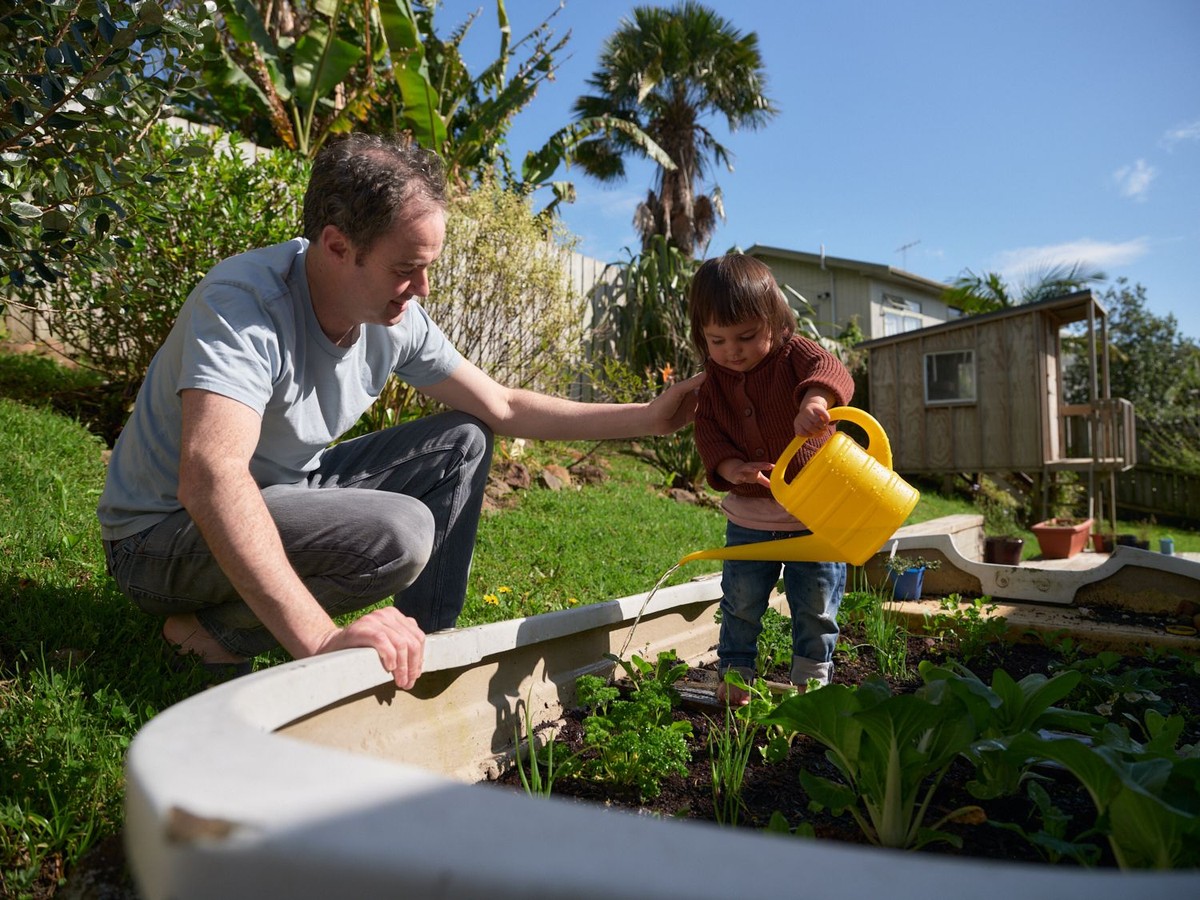 Hliníková fólie za záhradním sloupkem? Jak ušetříte na závlaze až 40 procent - image 1