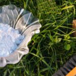 Jedlá soda v trávníku? Chemici vědí, proč to záhradáři dělají