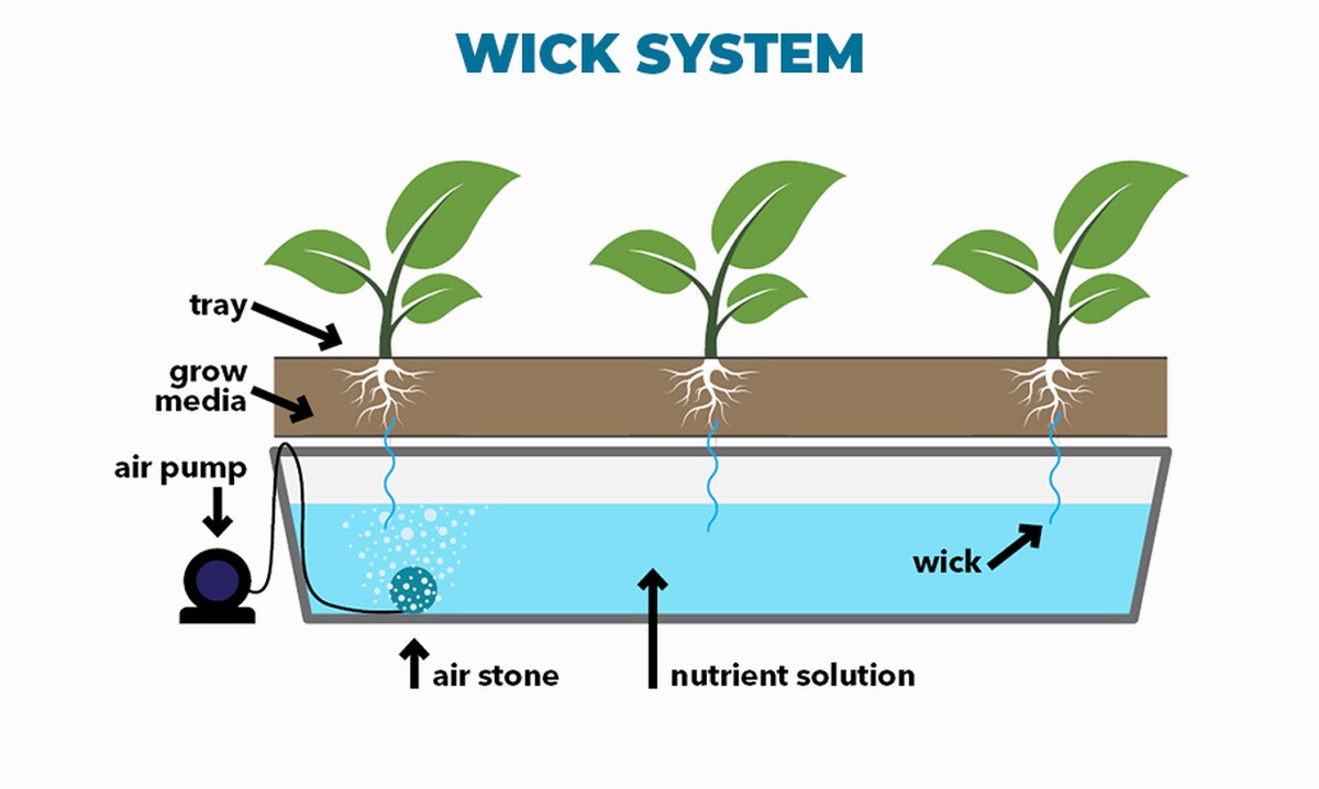 Kávový filtr jako záhradní pomocník: 5 způsobů, jak ho použít mimo kuchyni - image 2