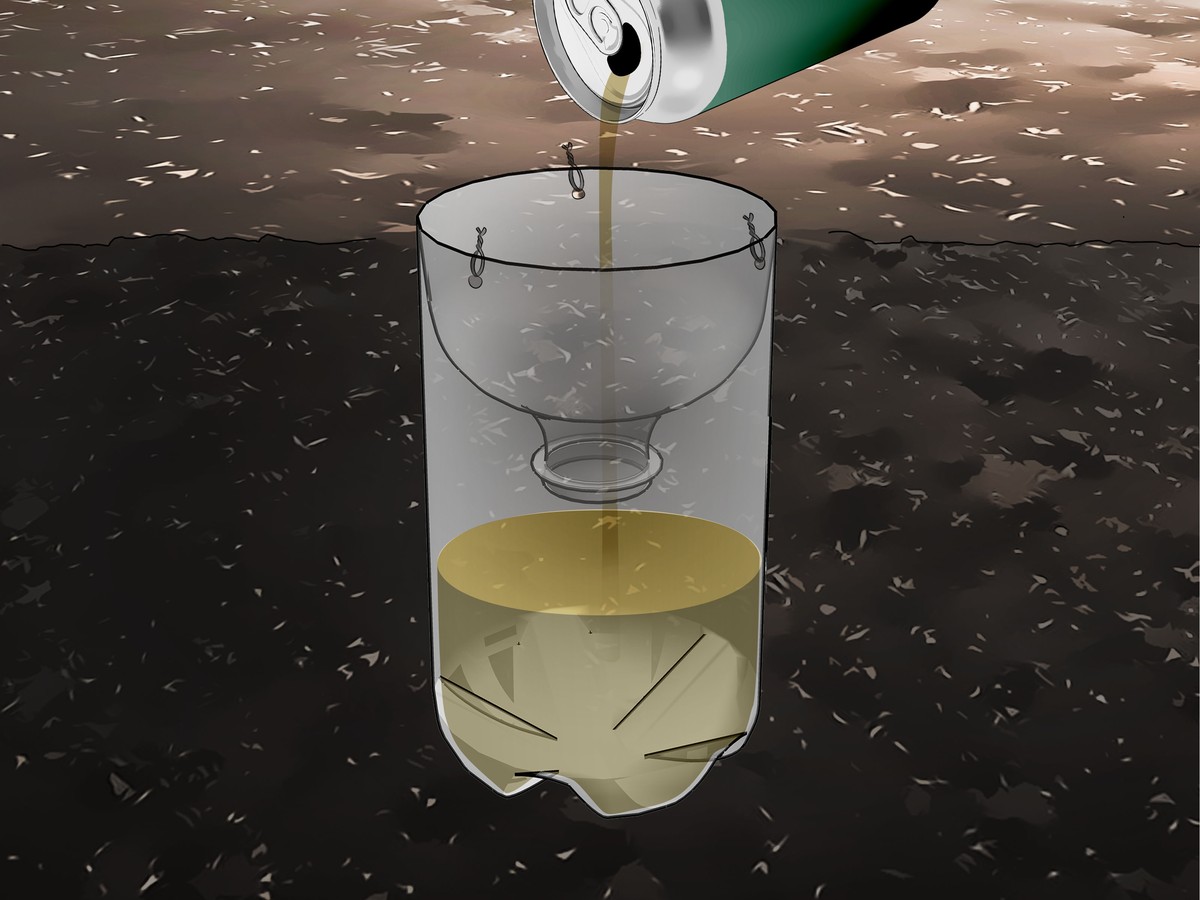 Kávový filtr jako skvělý pomocník proti slimákům v zahradě - image 2