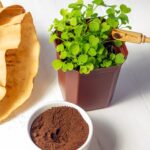 Kávový filtr na záhradě? Zahradníci ho používají místo drahého mulču