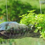 Ledová voda v lahvi mezi záhony šetří zavlažování až o 40 procent