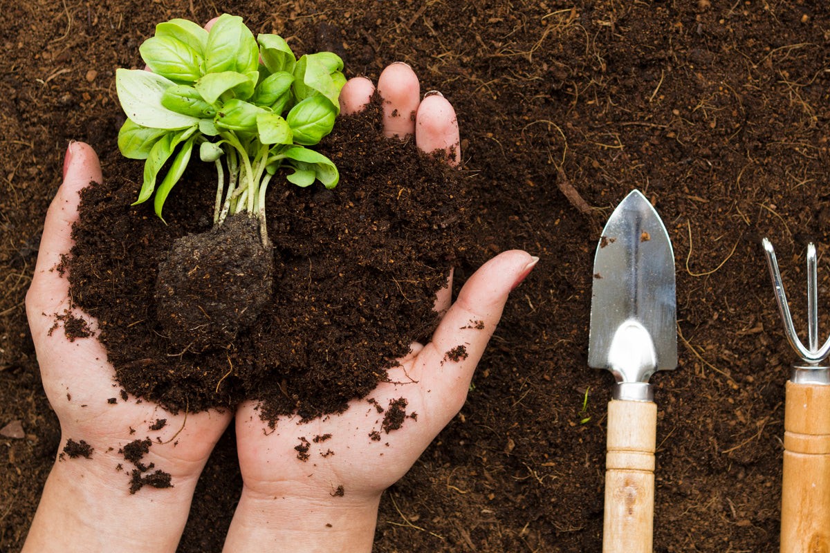 Máslo na rukou po práci na zahradě? Zahradníci vědí proč - image 2