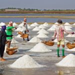 Mořská sůl v květináči zabraňuje plísni lépe než chemie