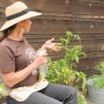 Mýdlová voda v zahradě vám ušetří 500 Kč měsíčně na pesticidech