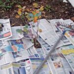 Noviny pod mulčem? Úspora na plevelu bez chemie