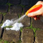 Ocet na okna v dubnu? Zabraňuje růstu mechu věnovanému cestám