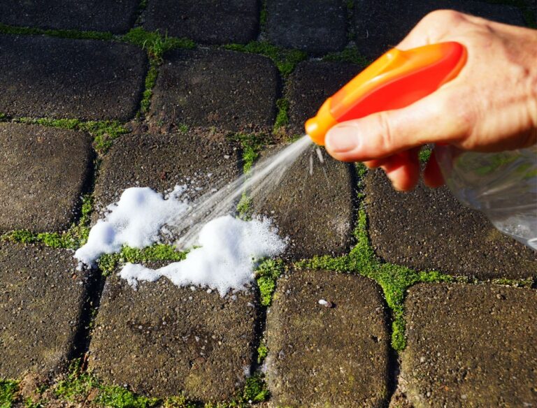 Ocet na okna v dubnu? Zabraňuje růstu mechu věnovanému cestám