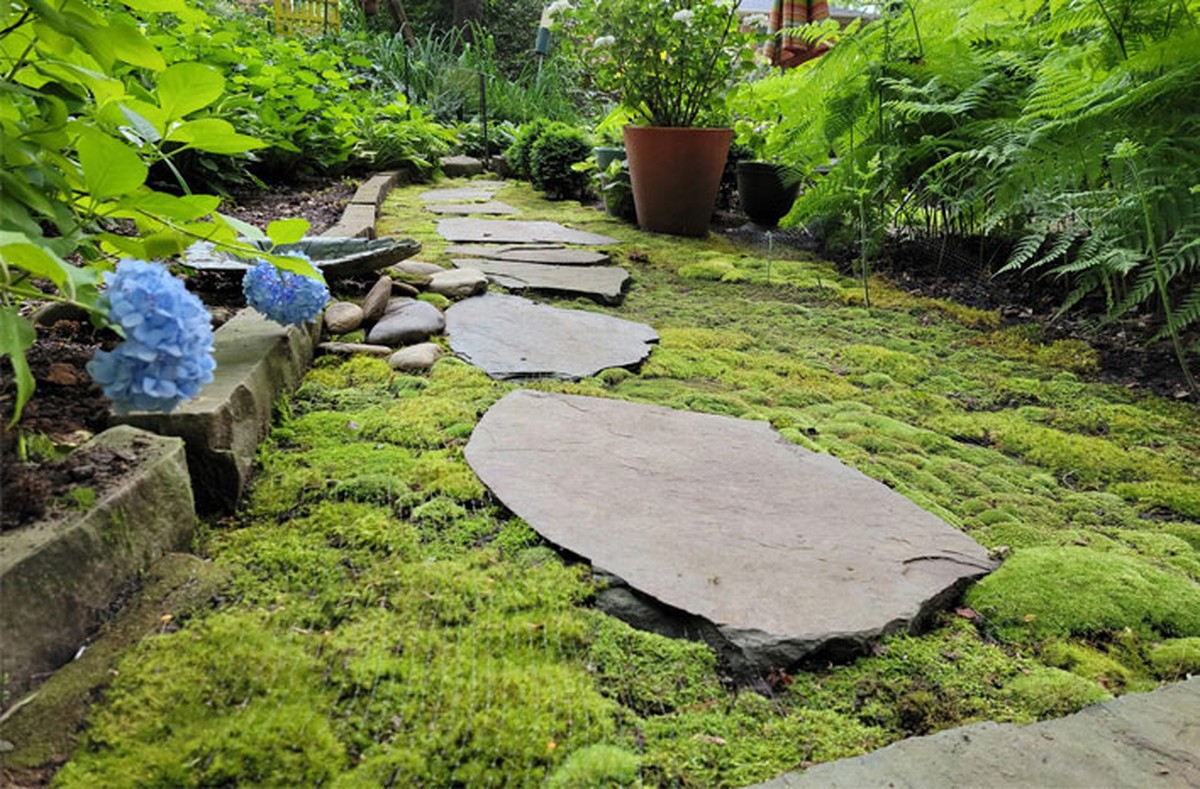 Ocet na okna v dubnu? Zabraňuje růstu mechu věnovanému cestám - image 2