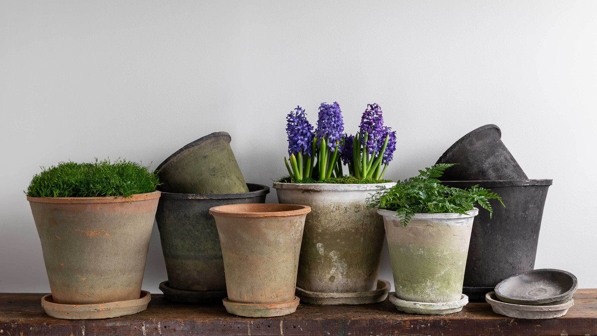 Papírová podložka pod květináči – jednoduchý trik, který zastaví plísně v bytě