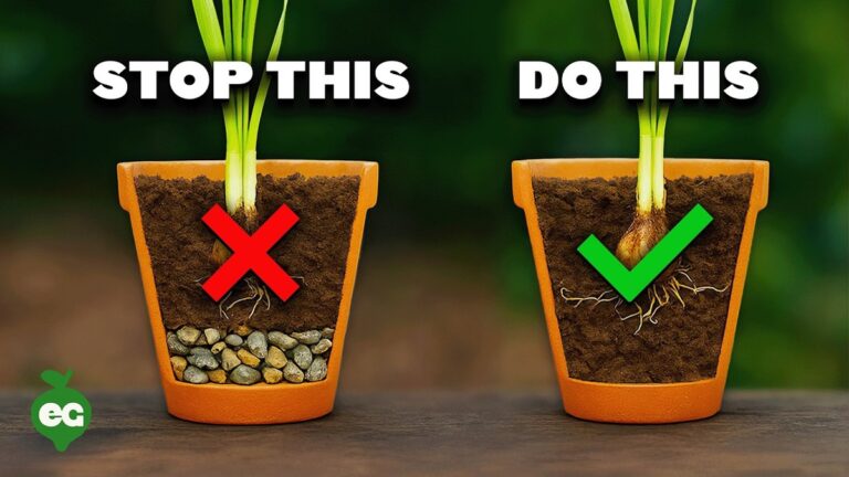 Papírová role pod květináčem: trik proti vlhkosti v bytě