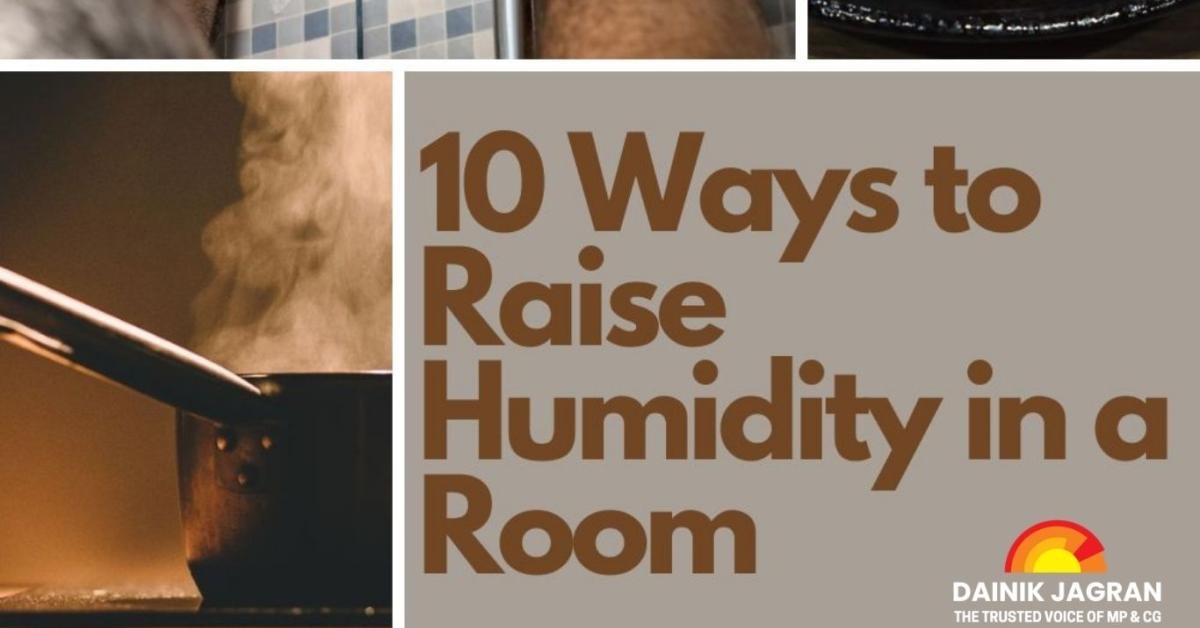 Papírová role pod květináčem: trik proti vlhkosti v bytě - image 2