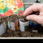 Papírové zážitky v květináči: jak zpomalit vypařování vody o 40 procent