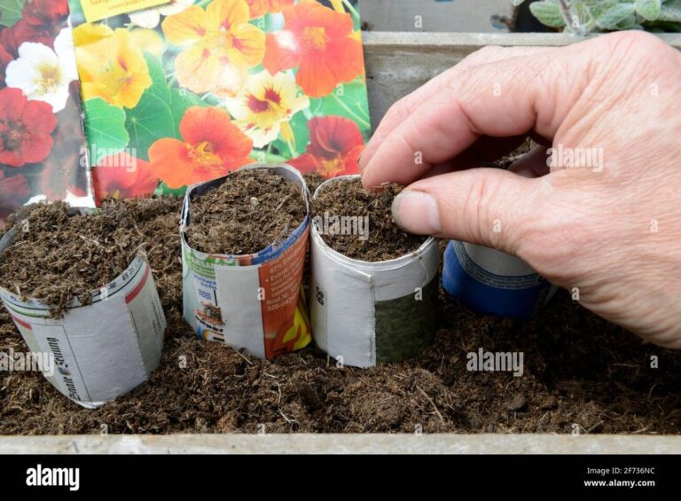 Papírové zážitky v květináči: jak zpomalit vypařování vody o 40 procent