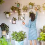 Papírový kapesník v květináči změní váš vztah k zálivce