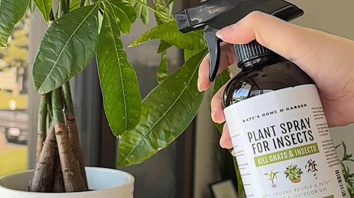 Peroxid vodíku v postřiku: záhradníci vám to neřeknou - image 1