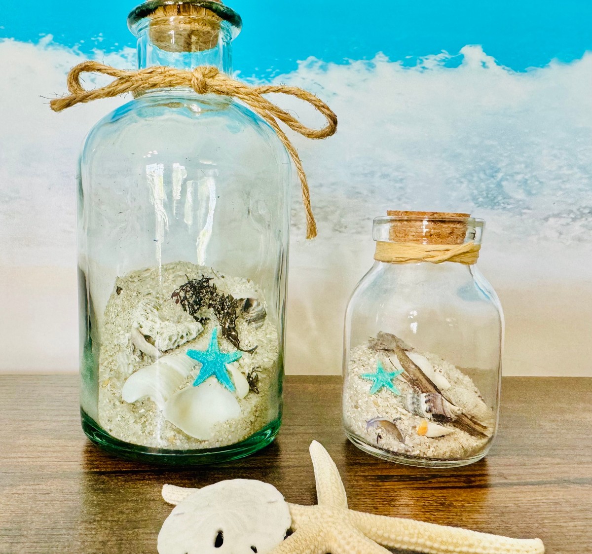 Plastové lahve naplněné pískem: zatím nejchytřejší pasca na slimáky - image 1