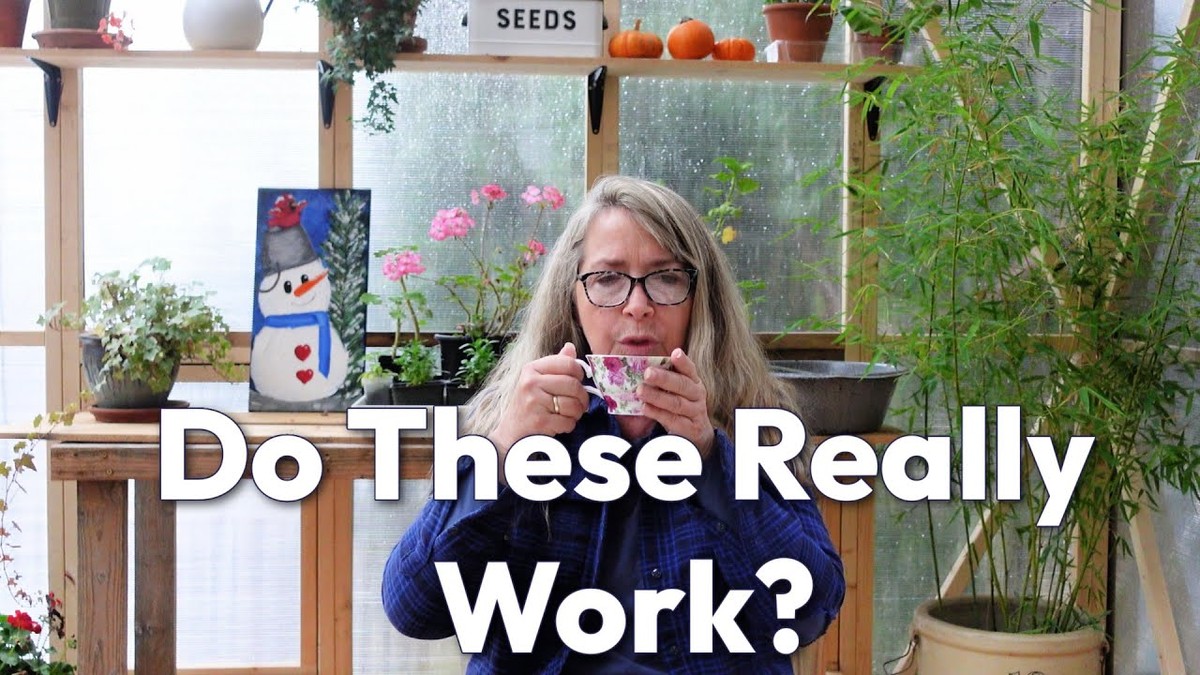 Použitá čajová sáčka na záhradě mění všechno - image 2