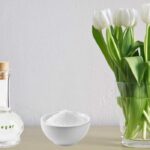 Proč zahrádkáři vždy přidávají ocet do vody pro květiny