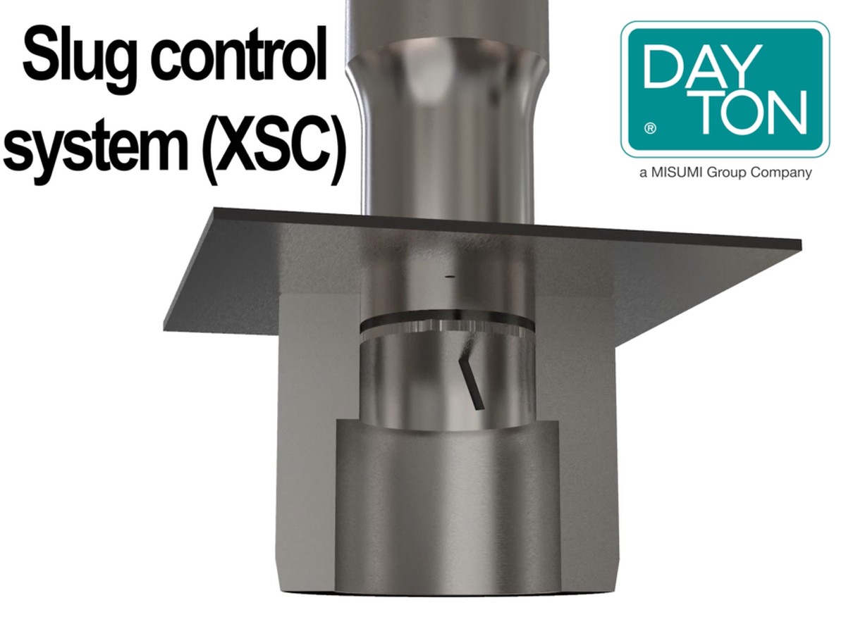 Skořápky z vajec rozdrcené kolem salátu zastaví slimáky okamžitě - image 2