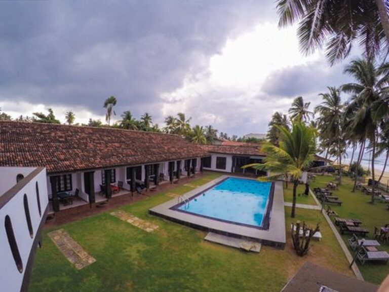 Skořice na hrádkách: levnější a účinnější než drahé fungicidy