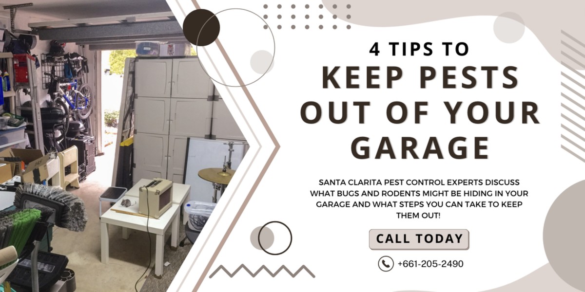 Skořice na půdě: starý český způsob, jak zahnat myši z garáže - image 1