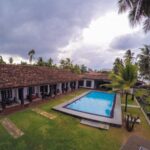 Skořice na půdu: jednoduchý trik proti slimákům bez chemie