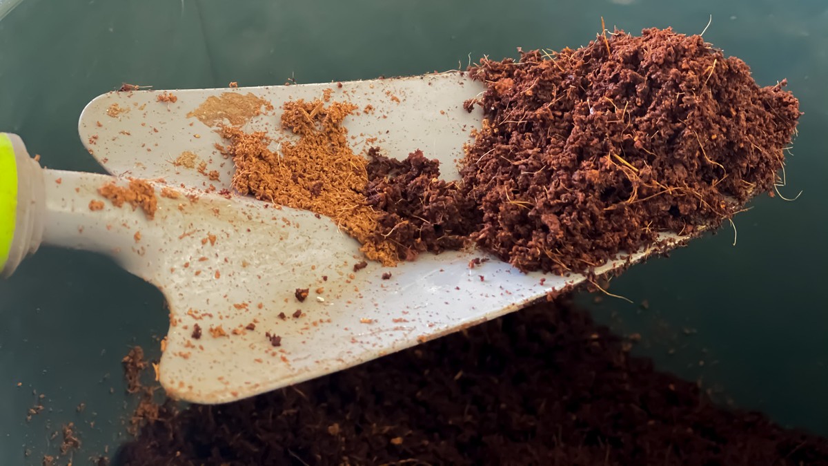 Skořicový prach do kompostu – starý švédský způsob proti hmyzu v zahradě