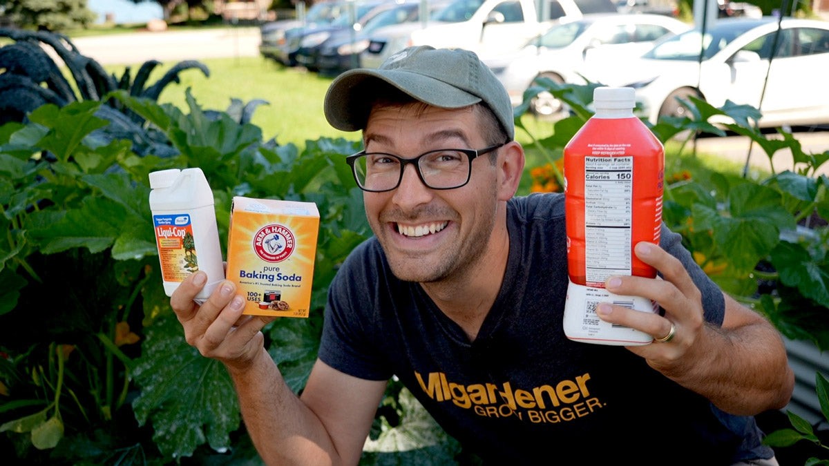 Soda na listí? Zahradníci vědí, kdy a jak ji aplikovat bez škody - image 1