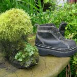 Staré pantofle na záhradě: geniální způsob, jak chránit mladé sazenice