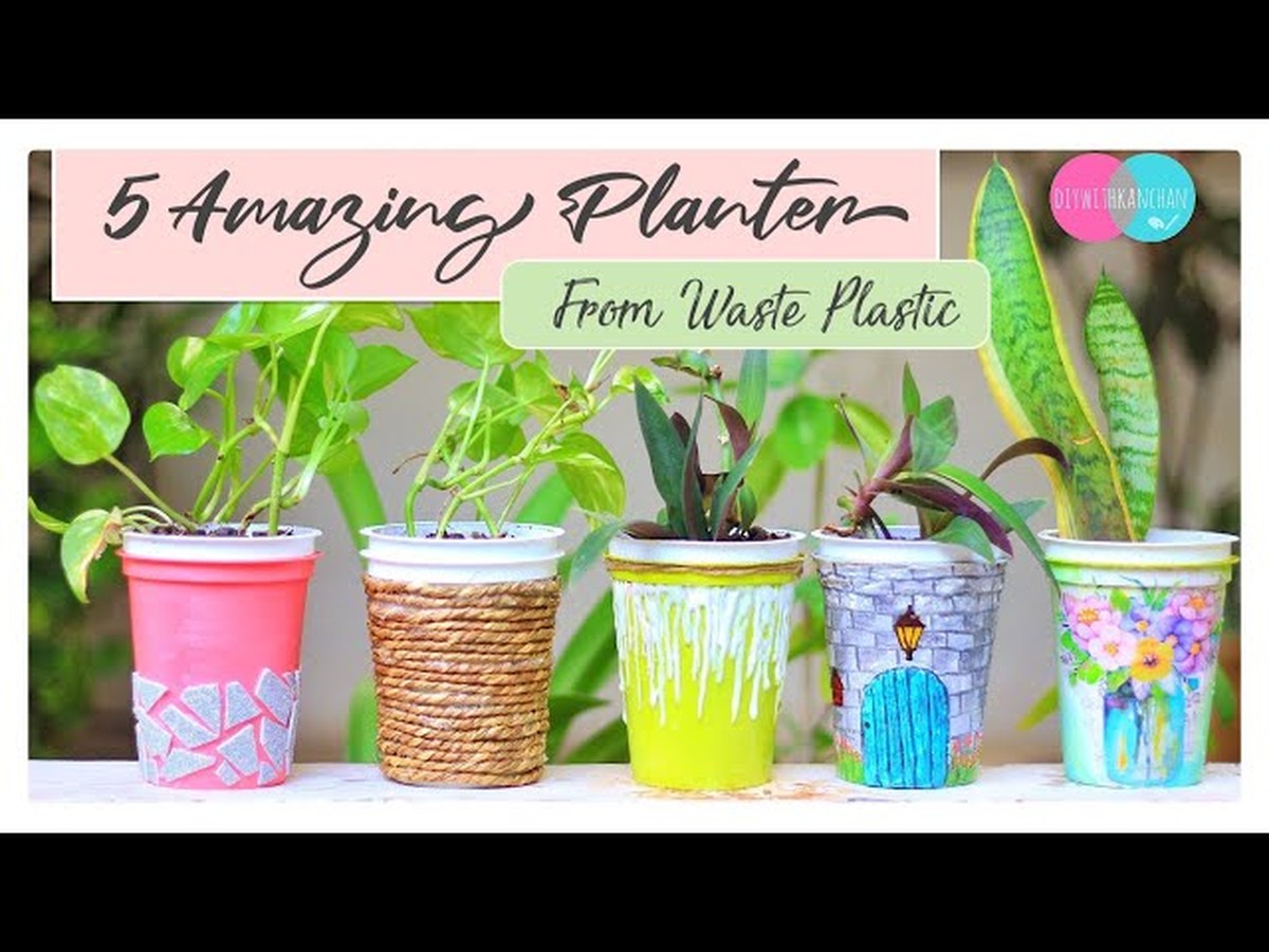 Staré ponožky jako květináče? Proč je to nejchytřejší řešení - image 2