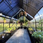 Staré punčochy jako závěsy do skleníku - improvizované stínění za korunu