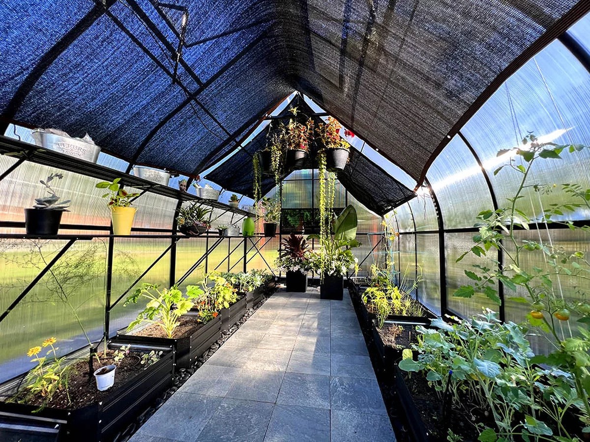 Staré punčochy jako závěsy do skleníku - improvizované stínění za korunu