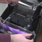 Starý pás od vysavače v květináči: Jak zadržuje vlhkost 3x déle