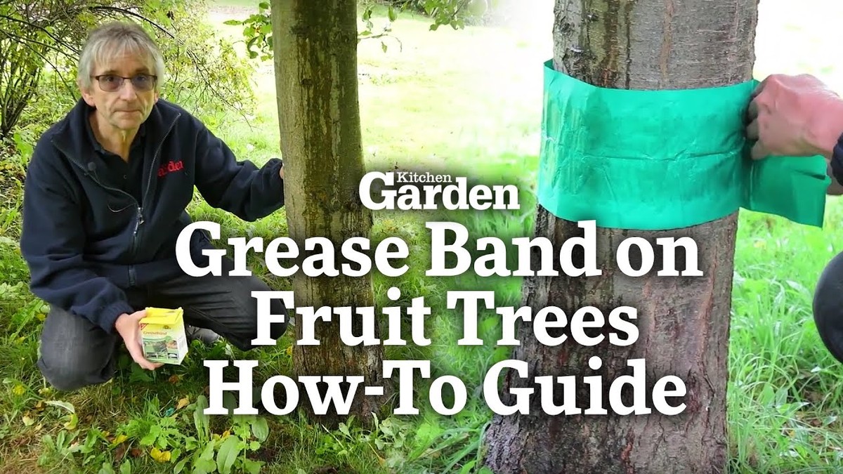 Sůl a tuk na cestě? Záhradníci jej nepoužívají náhodou - image 2