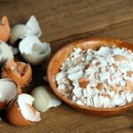 Vaječné skořápky do půdy: proč je nejlevnější hnojivo, které máte doma