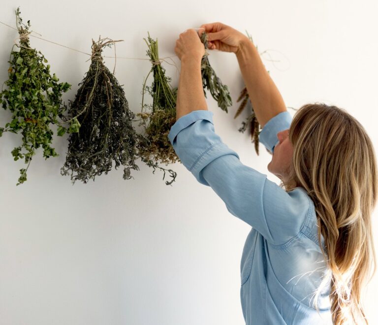 Včelař varuje: nikdy nedělejte tuto chybu u léčivých bylin