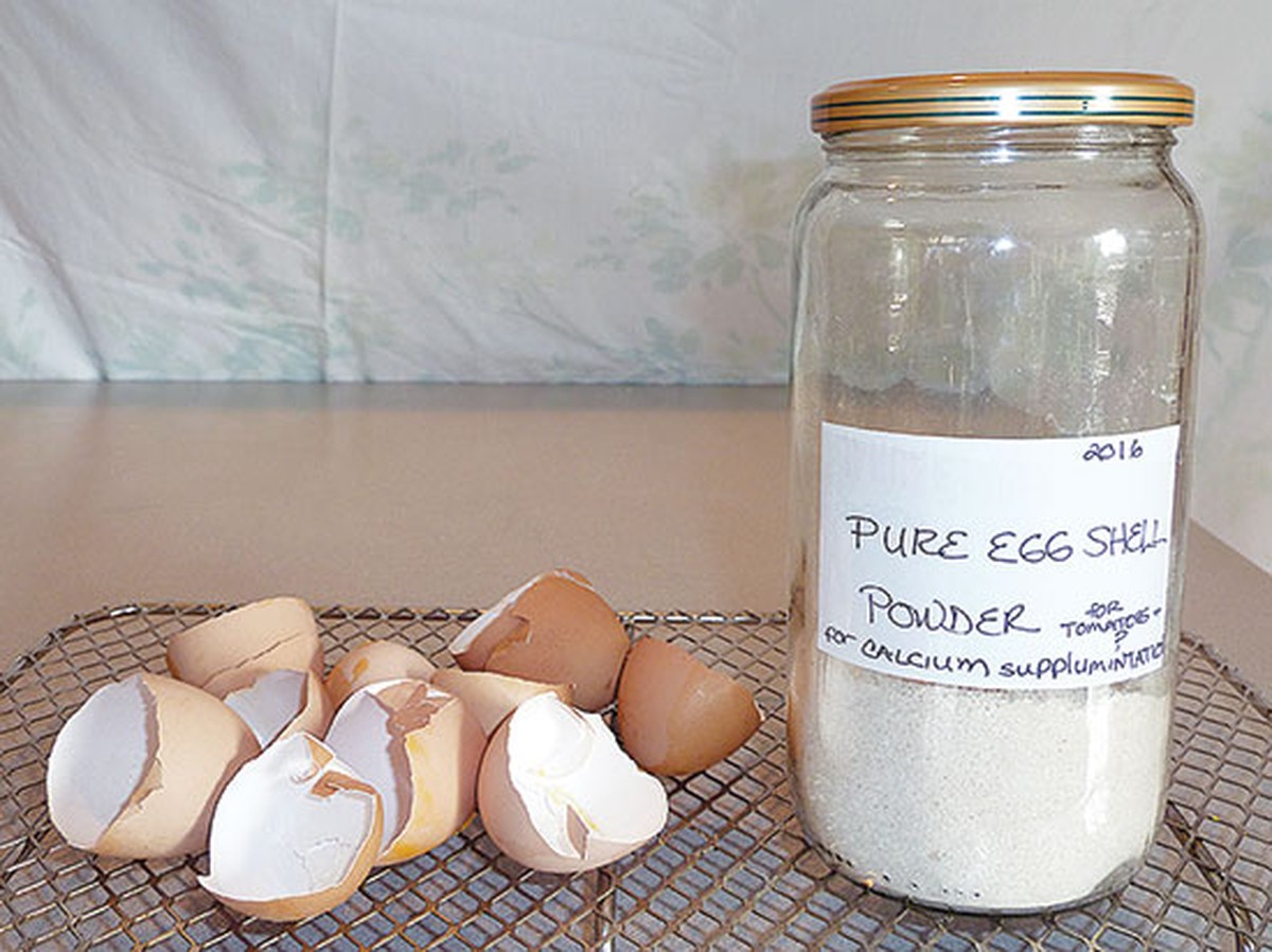 Vejce jako přirozený pesticid: metoda která funguje lépe než sprej - image 1