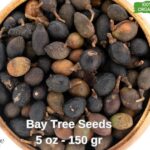 Vložte bobkový list do semínek: Starobylý trik proti zahradním škůdcům