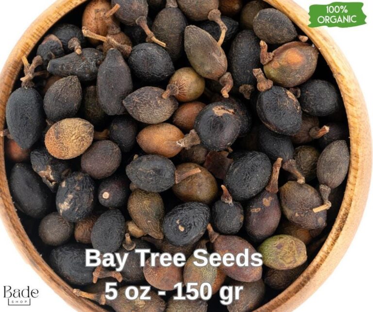 Vložte bobkový list do semínek: Starobylý trik proti zahradním škůdcům