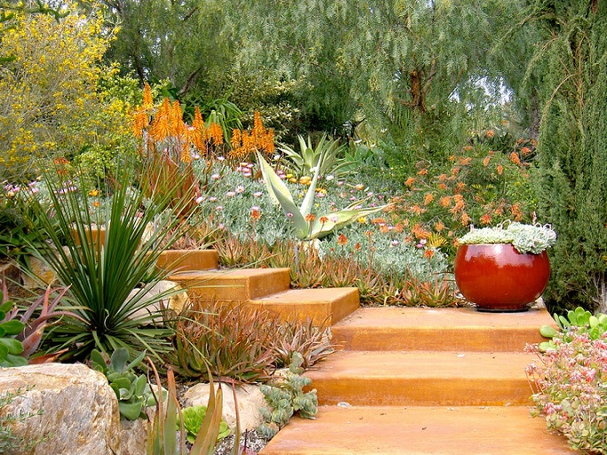 Zahradníci prosí: nikdy nevysazujte toto v červnu - image 2