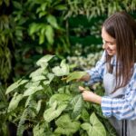 Zahradníci prozrazují: nikdy netrhejte listy těmito rukama
