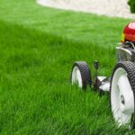 Zahradníci vám prozradí: kdy přesně sekat trávník, aby rostl nejhustěji